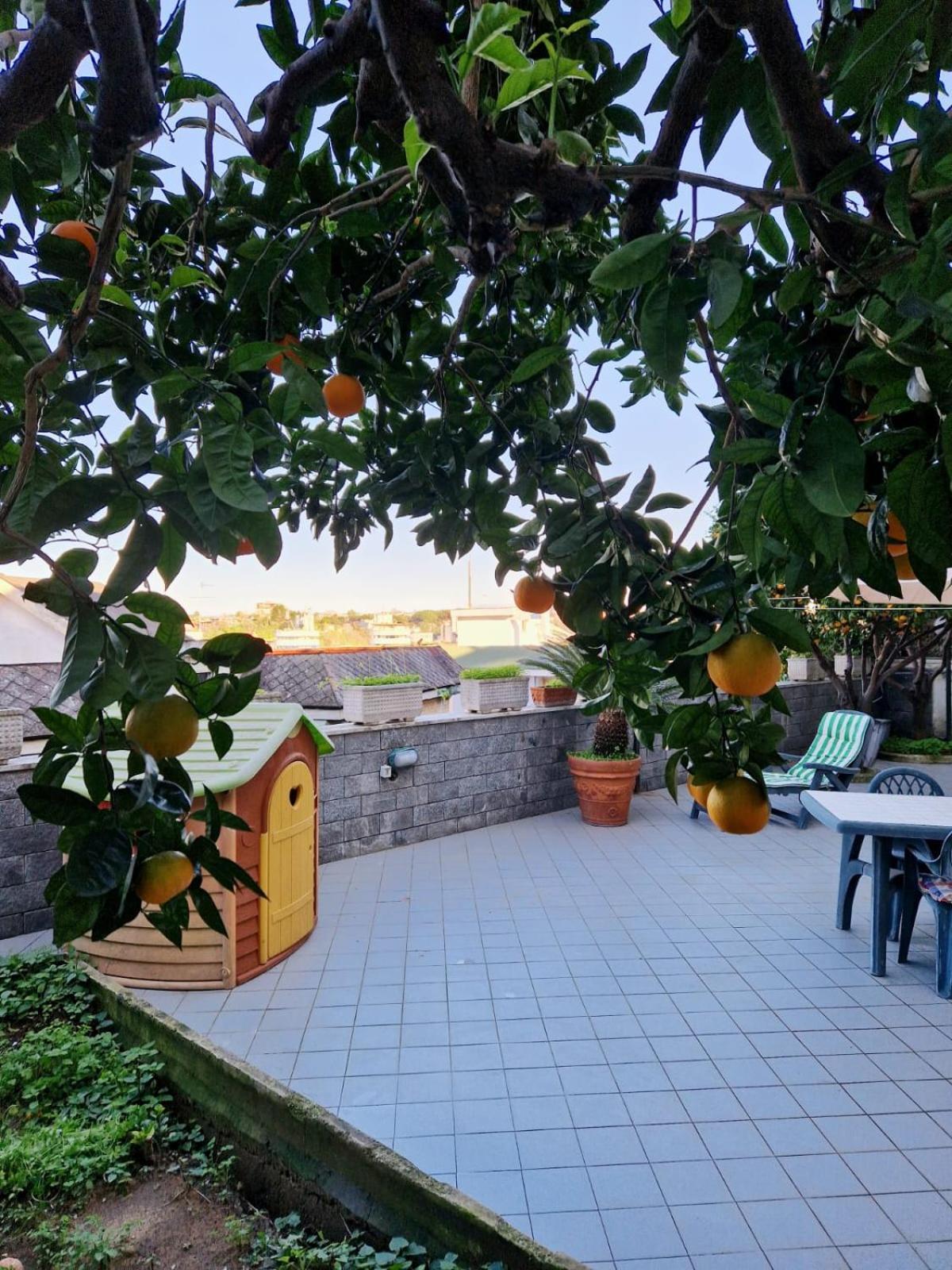 Fuga A Apartment Naples