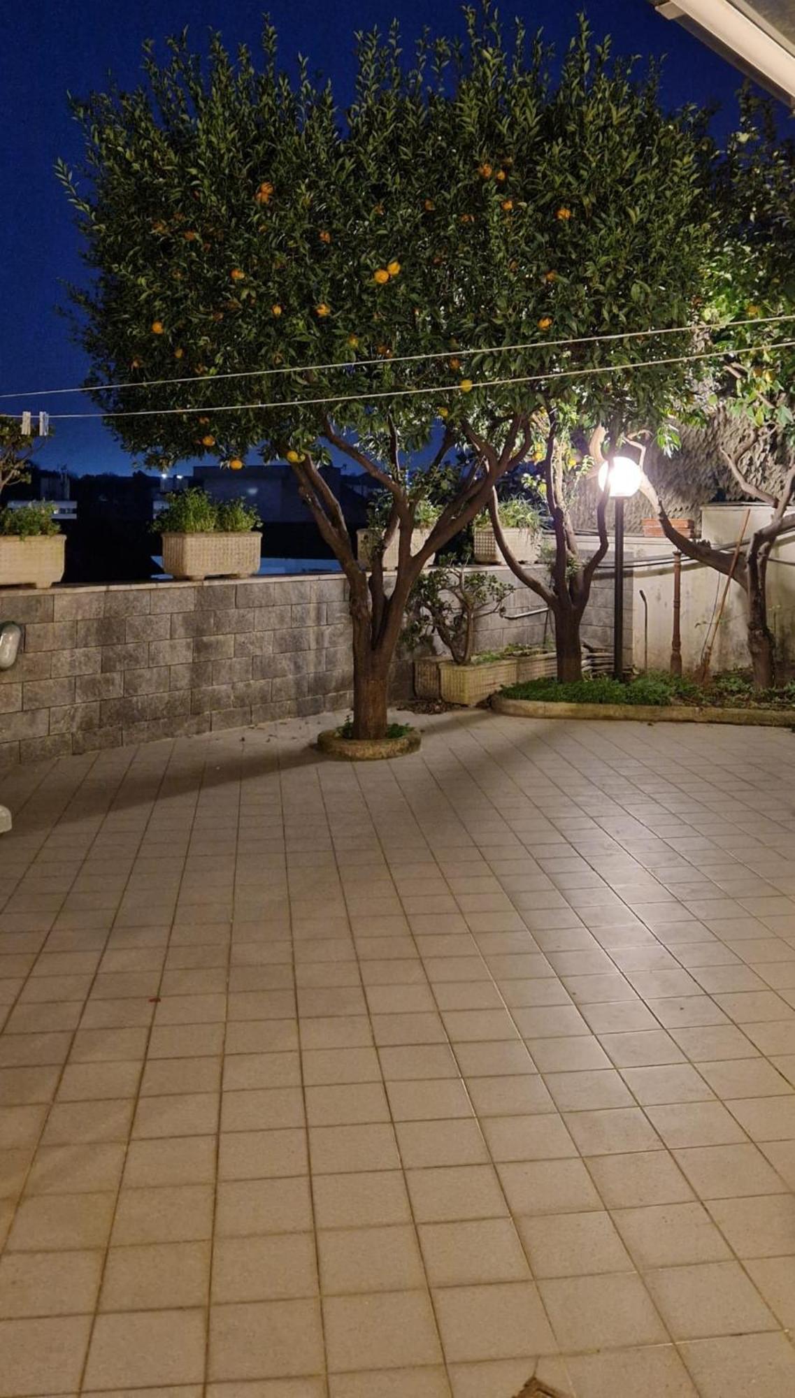 Apartment Fuga A Naples