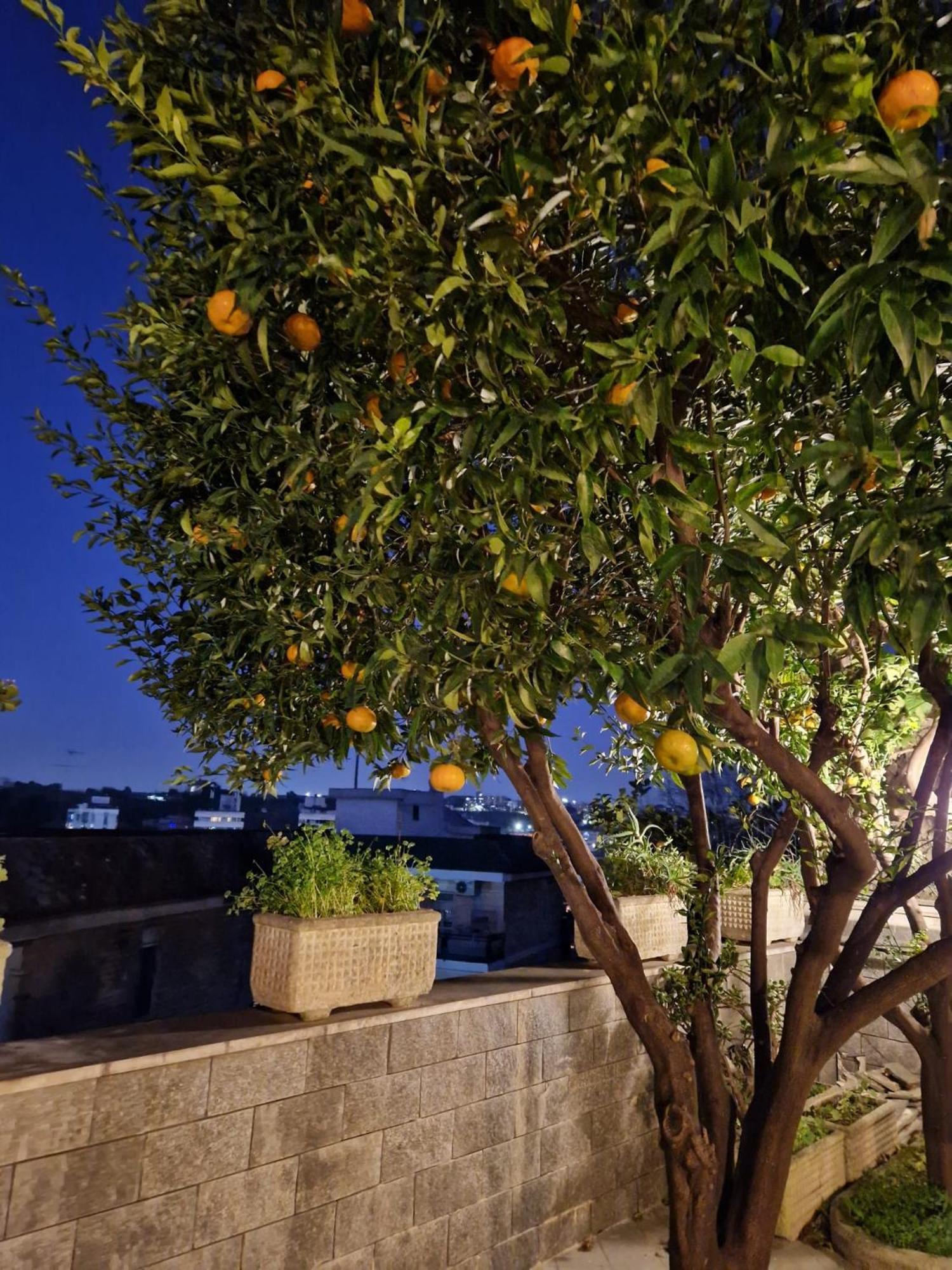 Apartment Fuga A